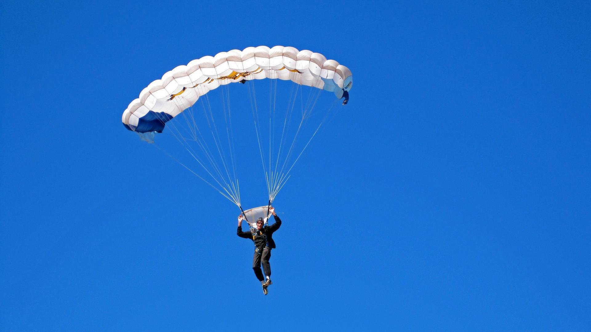 全黑队在比赛中的强势表现，一直是橄榄球锦标赛的焦点，全黑队服