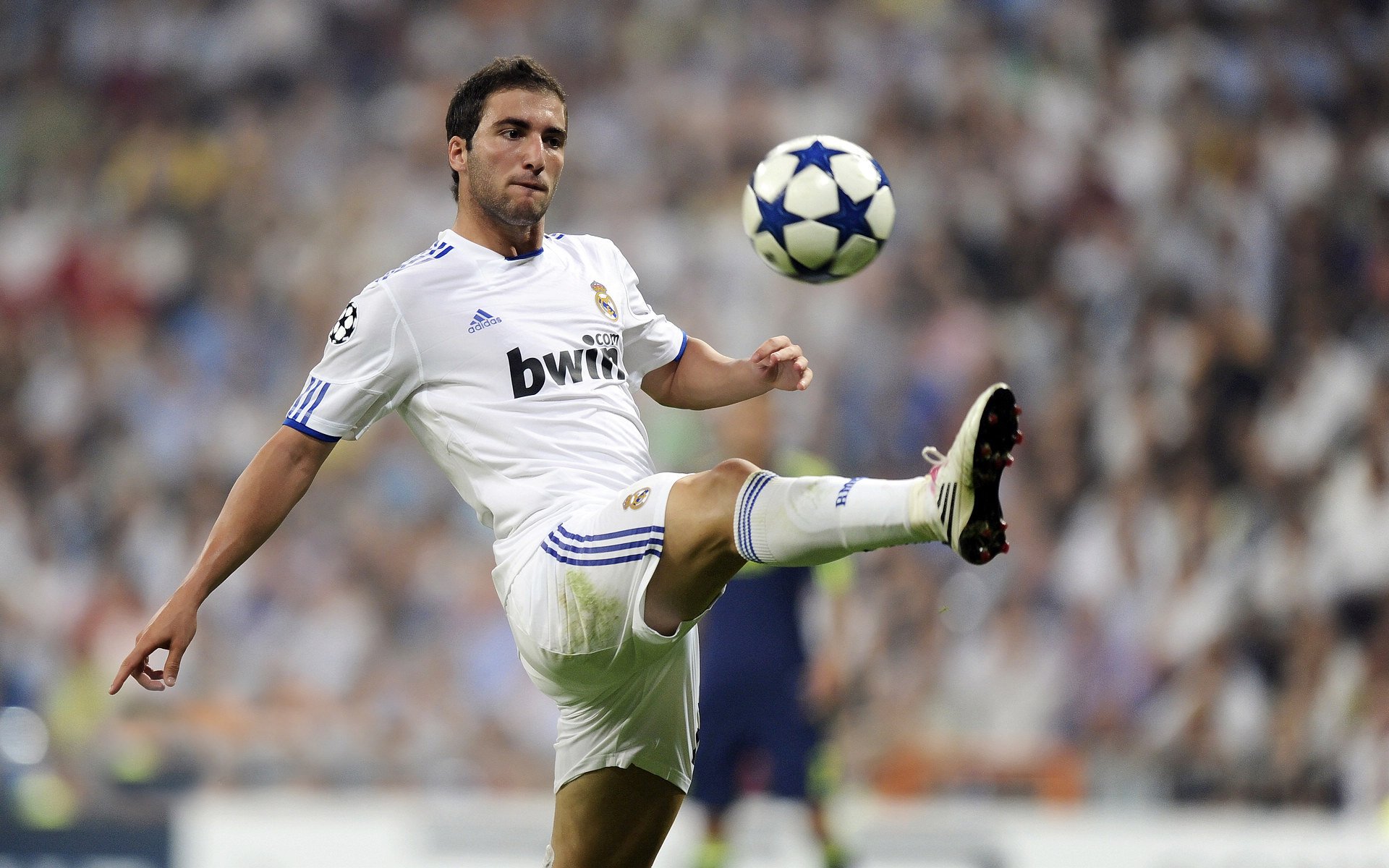 查尔莫斯短自再夺金牌，查尔莫斯什么水平